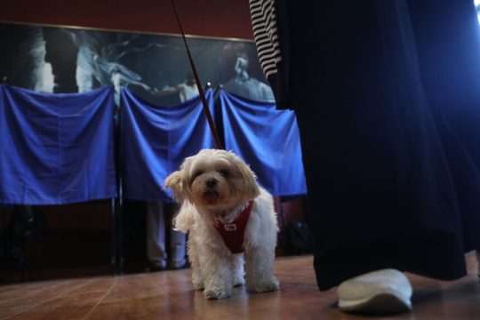 pasok ekloges